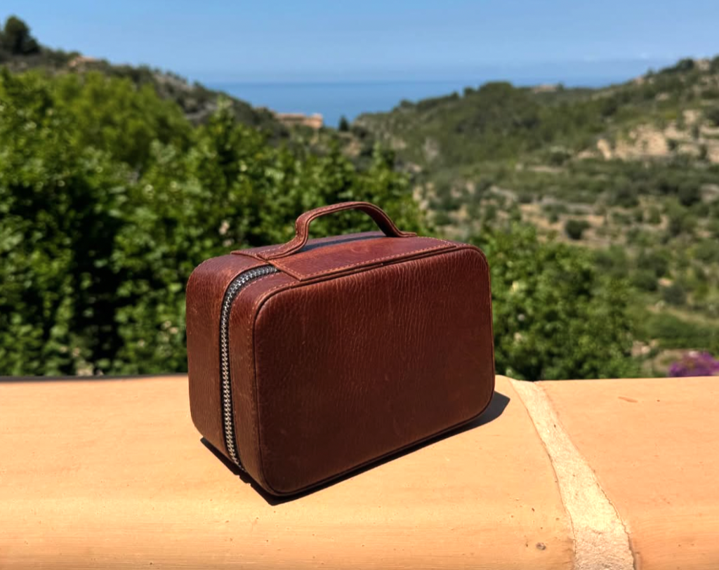 Brown leather case overlooking ocean and trees